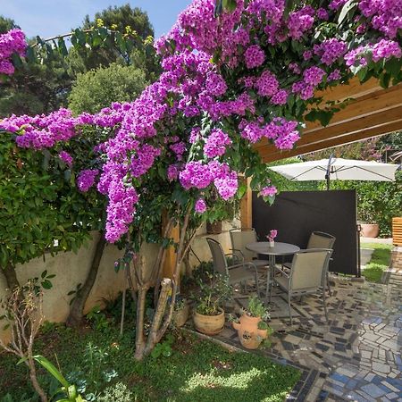 Piccola Pineta Apartamento PUY Exterior foto