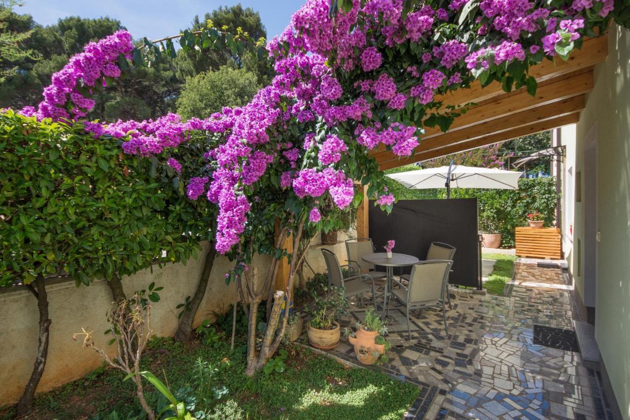 Piccola Pineta Apartamento PUY Exterior foto